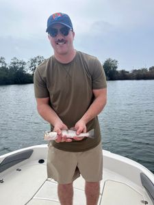 Speckled trout catch from Niceville FL fishing trip