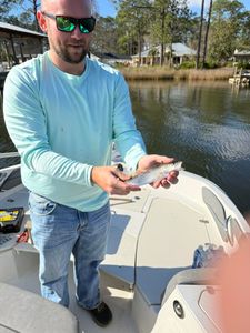 Speckled trout catch on fishing boat in Niceville FL