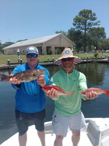 Three big fishing catch in FL