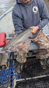 Scenic view of Altmar