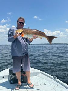 Exploring Panama City’s marine life