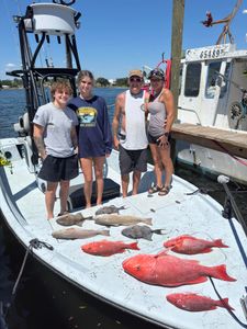 3 grey snapper and redfish caught fishing in FL