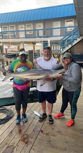 Blacktip Shark, 39-inch fishing in FL