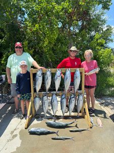 12 little tunny and ladyfish caught in Panama City