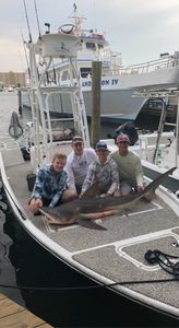 Bull shark, 61 inches, fishing in FL