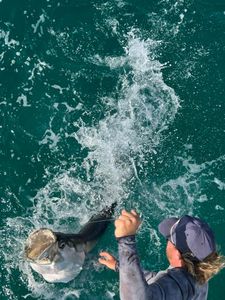 Fishing in Florida