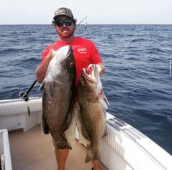 Two fish caught while fishing in Florida