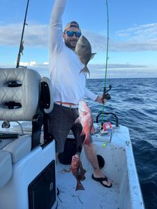 3 grey triggerfish caught while fishing in Panama City
