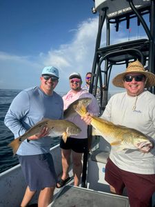 Two big fish caught while fishing in FL