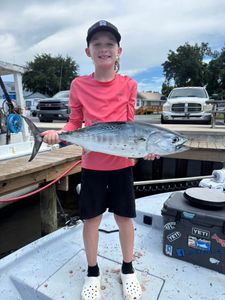 Little Tunny fish caught while fishing in Panama City