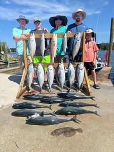 14 blue runner and wahoo fish caught in Panama City