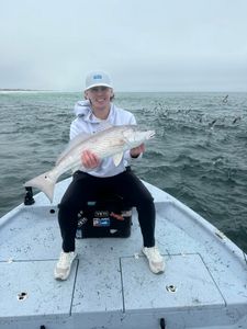 Redfish caught in FL