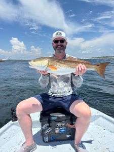 Redfish caught in Panama City