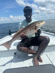 Redfish caught in Panama City