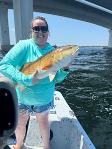 Angler reels in 20-inch catch in FL