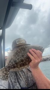 A summer flounder fish caught in Panama City