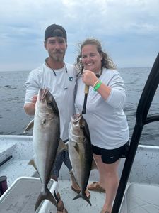 Two Greater Amberjack, a 31-inch catch, in Panama City