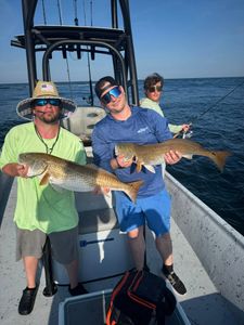 Two redfish caught in Florida