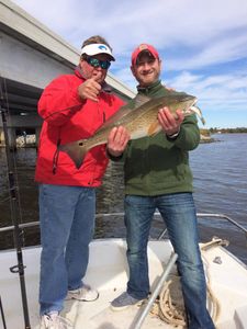 A large redfish caught while fishing in FL