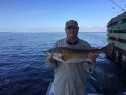 Redfish caught in Freeport, fishing
