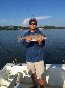 Redfish caught while fishing in FL
