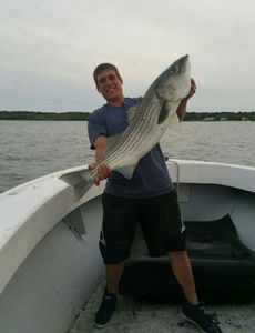 Fish-Species