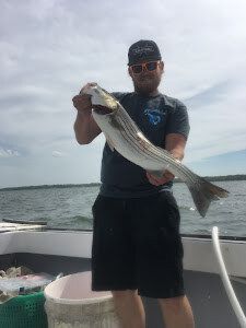 Striped Bass Fishing In Massachusetts 
