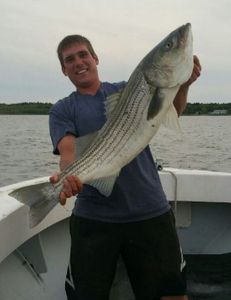 Fish-Species