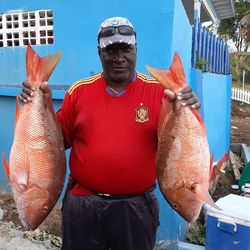 Fish-Species