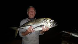 A bigeye trevally, a 28-inch saltwater fish, caught while fishing in Buccoo