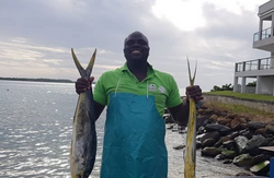 One person fishing in Buccoo