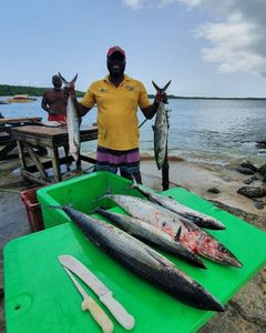 4 great fishing catches in Buccoo