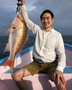 A mutton snapper, a 24-inch fish, in Buccoo