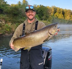 Chinook Salmon Catch in Michigan Fishing Trips