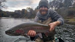 Salmon Michigan fishing guide	