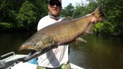 Trophy Salmon Caught in Grand Rivers