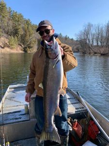 Angler holding a rainbow trout fish in MI