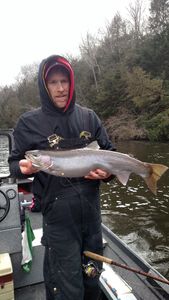 Catching a big Atlantic Salmon in MI