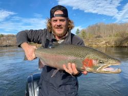 A single rainbow trout, 24 inches long, caught in Custer