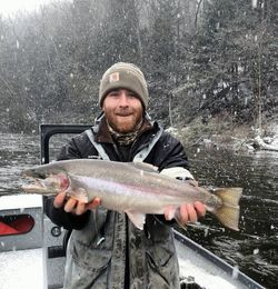 Coho salmon, 23 inches, caught fishing in Custer