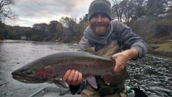 A single person fishing in Custer
