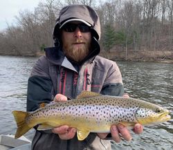 A fisherman holding a large sea trout in MI