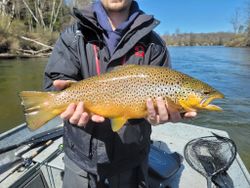 Rainbow trout caught fishing in Custer