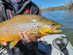 Sea trout fishing in Custer