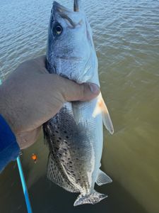 Calm waters and steady bites.