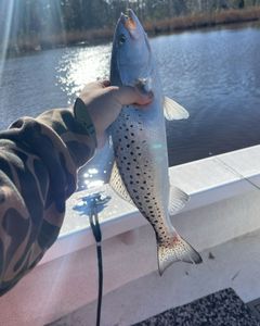 Casting lines, catching dreams in North Carolina.