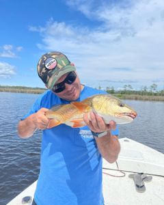 Discover Top-Notch NC Fishing Charters