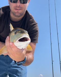 Plan Your NC Fishing Trip