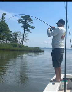 Even the captain can have fun too. Nice redfish. 