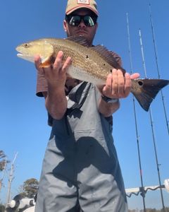 Explore North Carolina's Premier Fishing Charters